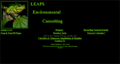 Desktop Screenshot of leaps.ms